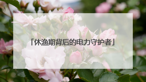 休渔期背后的电力守护者
