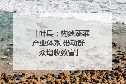 叶县：构建蔬菜产业体系 带动群众增收致富