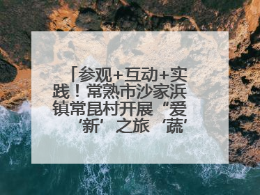 参观+互动+实践！常熟市沙家浜镇常昆村开展“爱‘新’之旅‘蔬’适生活”参观学习活动
