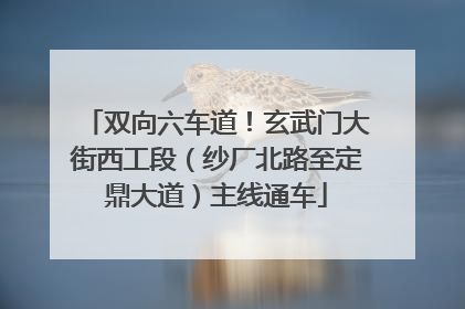 双向六车道！玄武门大街西工段（纱厂北路至定鼎大道）主线通车