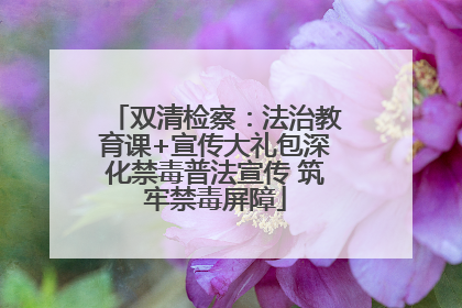 双清检察：法治教育课+宣传大礼包深化禁毒普法宣传 筑牢禁毒屏障