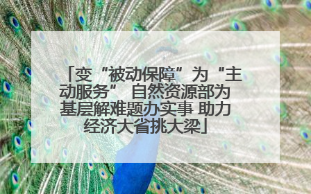 变“被动保障”为“主动服务” 自然资源部为基层解难题办实事 助力经济大省挑大梁