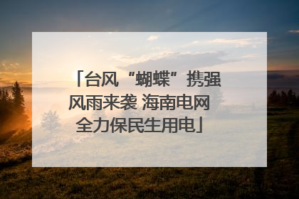 台风“蝴蝶”携强风雨来袭 海南电网全力保民生用电