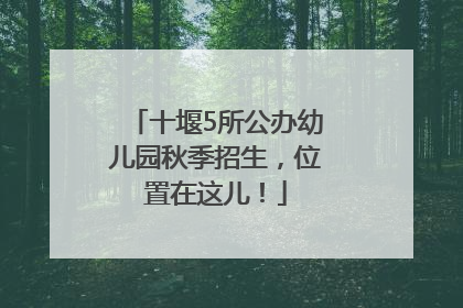 十堰5所公办幼儿园秋季招生，位置在这儿！