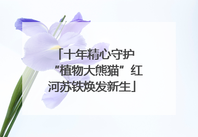 十年精心守护 “植物大熊猫”红河苏铁焕发新生