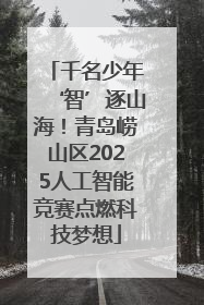 千名少年‘智’逐山海！青岛崂山区2025人工智能竞赛点燃科技梦想