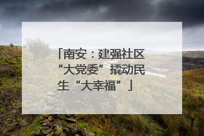 南安：建强社区“大党委”撬动民生“大幸福”