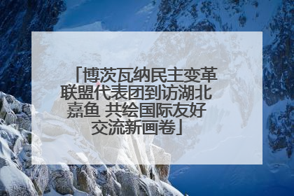 博茨瓦纳民主变革联盟代表团到访湖北嘉鱼 共绘国际友好交流新画卷