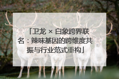 卫龙 × 白象跨界联名：辣味基因的跨维度共振与行业范式重构