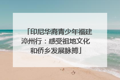 印尼华裔青少年福建漳州行：感受祖地文化和侨乡发展脉搏