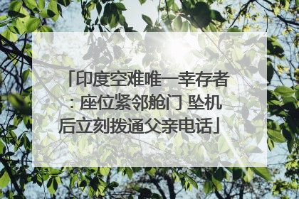 印度空难唯一幸存者：座位紧邻舱门 坠机后立刻拨通父亲电话