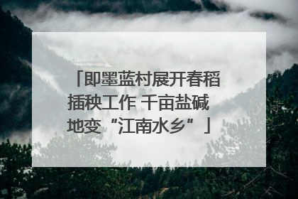 即墨蓝村展开春稻插秧工作 千亩盐碱地变“江南水乡”