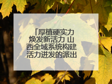 厚植硬实力 焕发新活力 山西全域系统构建活力迸发的派出所工作新生态