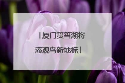 厦门筼筜湖将添观鸟新地标