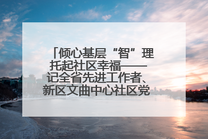 倾心基层“智”理 托起社区幸福——记全省先进工作者、新区文曲中心社区党委书记董世弘