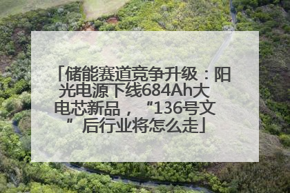 储能赛道竞争升级：阳光电源下线684Ah大电芯新品，“136号文”后行业将怎么走