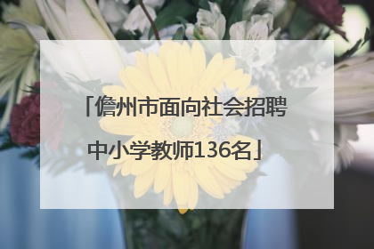 儋州市面向社会招聘中小学教师136名
