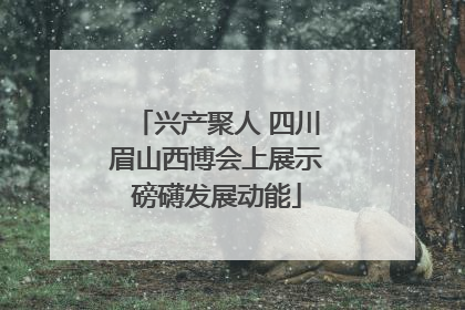 兴产聚人 四川眉山西博会上展示磅礴发展动能