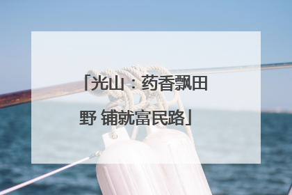 光山：药香飘田野 铺就富民路