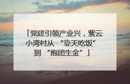 党建引领产业兴，紫云小湾村从 “靠天吃饭” 到 “抱团生金”