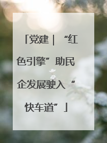 党建｜“红色引擎”助民企发展驶入“快车道”