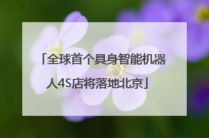 全球首个具身智能机器人4S店将落地北京
