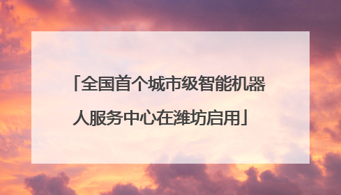 全国首个城市级智能机器人服务中心在潍坊启用