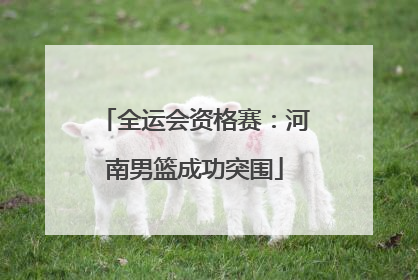 全运会资格赛：河南男篮成功突围