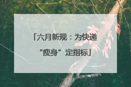 六月新规：为快递“瘦身”定指标
