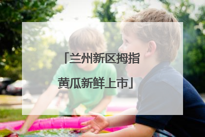 兰州新区拇指黄瓜新鲜上市