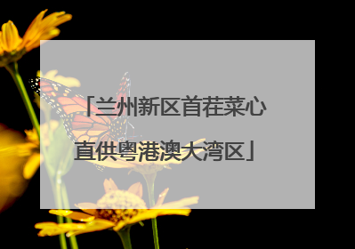 兰州新区首茬菜心直供粤港澳大湾区