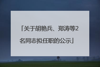 关于胡艳兵、郑涛等2名同志拟任职的公示