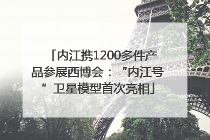 内江携1200多件产品参展西博会：“内江号”卫星模型首次亮相