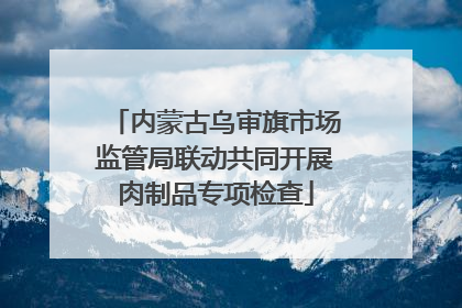 内蒙古乌审旗市场监管局联动共同开展肉制品专项检查