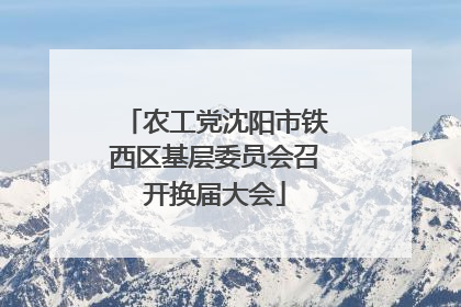 农工党沈阳市铁西区基层委员会召开换届大会