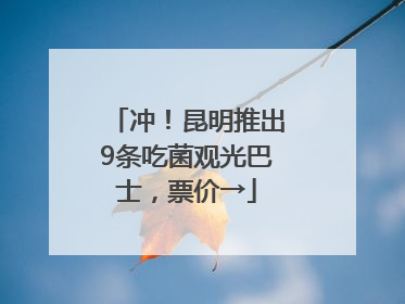 冲！昆明推出9条吃菌观光巴士，票价→