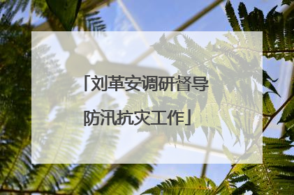 刘革安调研督导防汛抗灾工作