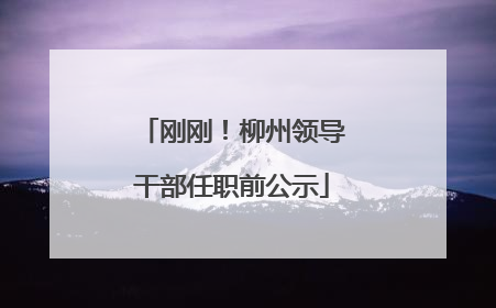 刚刚！柳州领导干部任职前公示
