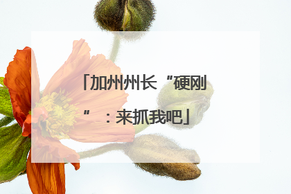 加州州长“硬刚”：来抓我吧