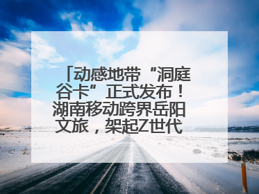 动感地带“洞庭谷卡”正式发布！湖南移动跨界岳阳文旅，架起Z世代文化共振桥梁