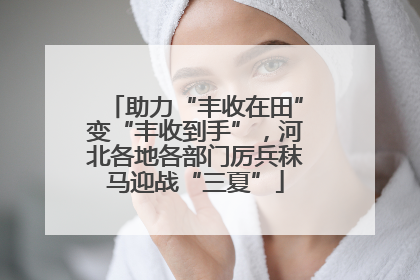 助力“丰收在田”变“丰收到手”，河北各地各部门厉兵秣马迎战“三夏”