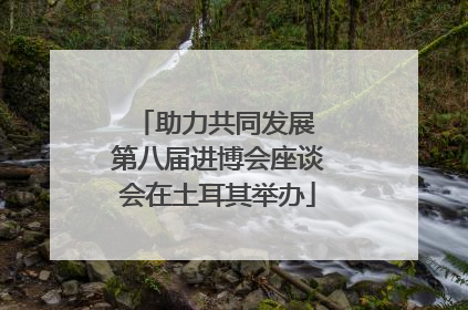 助力共同发展 第八届进博会座谈会在土耳其举办