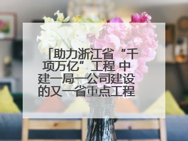 助力浙江省“千项万亿”工程 中建一局一公司建设的又一省重点工程竣工交付