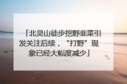 北灵山徒步挖野韭菜引发关注后续，“打野”现象已经大幅度减少