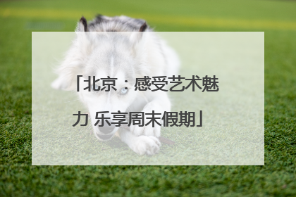 北京：感受艺术魅力 乐享周末假期