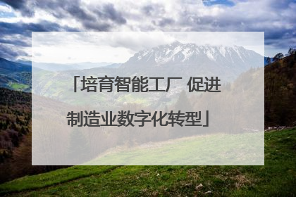 培育智能工厂 促进制造业数字化转型