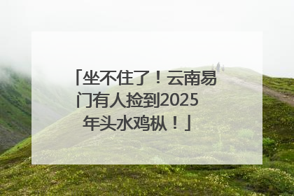 坐不住了！云南易门有人捡到2025年头水鸡枞！
