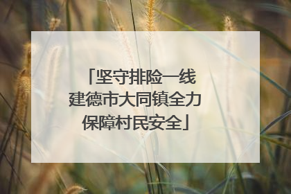 坚守排险一线 建德市大同镇全力保障村民安全