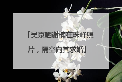吴京晒谢楠在珠峰照片，隔空向其求婚