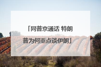 同普京通话 特朗普为何重点谈伊朗